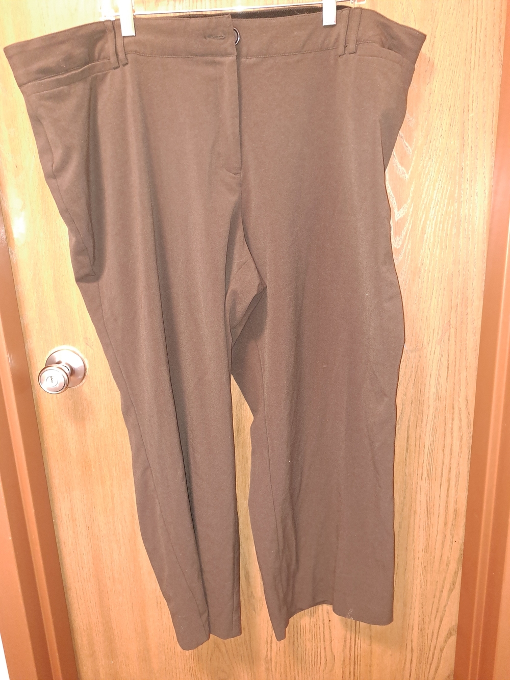 Avenue Women's Dark Brown Dress Pants